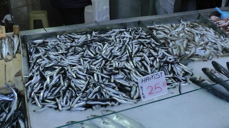 Karadeniz’de hamsi fiyatı tavan yaptı