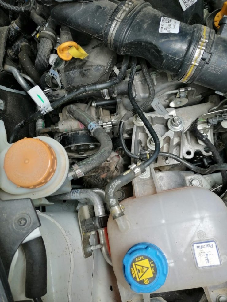 Kamyonetin motor kısmında sıkışan kediyi itfaiye kurtardı