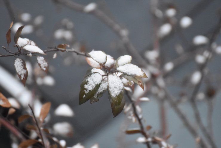 Doğuda soğuk hava etkili oluyor