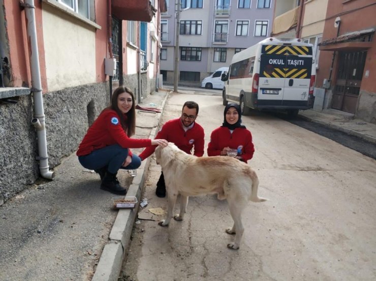 AKUT Öğrenci Topluluğundan örnek çalışma