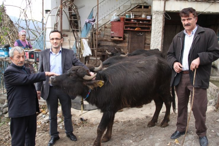 Giresun’da 321 işletmeye bin 477 manda ve 553 malak için 1 milyon 22 bin 493 TL ödeme yapıldı