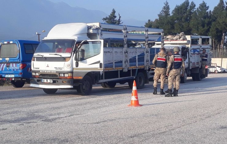Hatay’da bin 490 paket kaçak sigara ele geçirildi