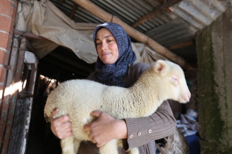 Orman köylüsüne büyük destek