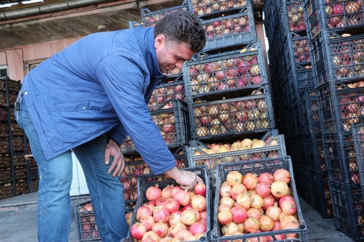 Siirt Zivzik narı hem üreticinin hem de tüketicinin yüzünü güldürdü