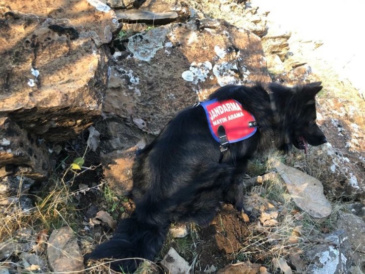 Çukurca’da EYP ve mühimmat ele geçirildi