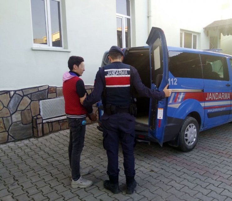 Jandarma İzmir’de oto faresini enseledi