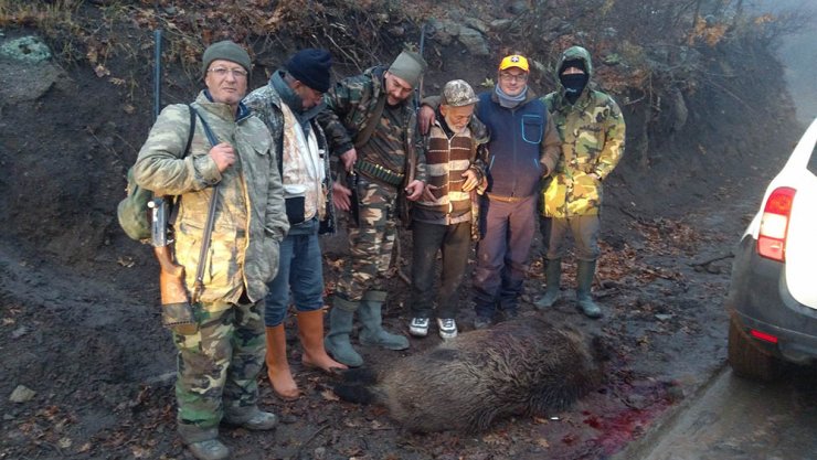 Karaman'da yaban domuzu avı
