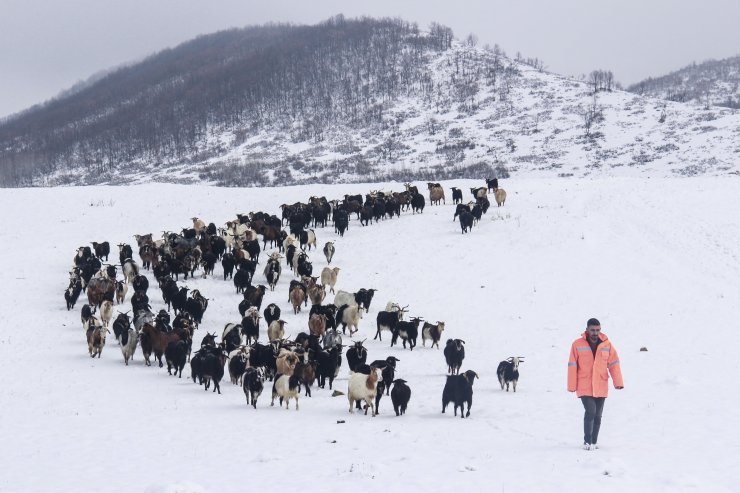 Ovacık'ta kış, zorlukları ve güzellikleriyle yaşanıyor