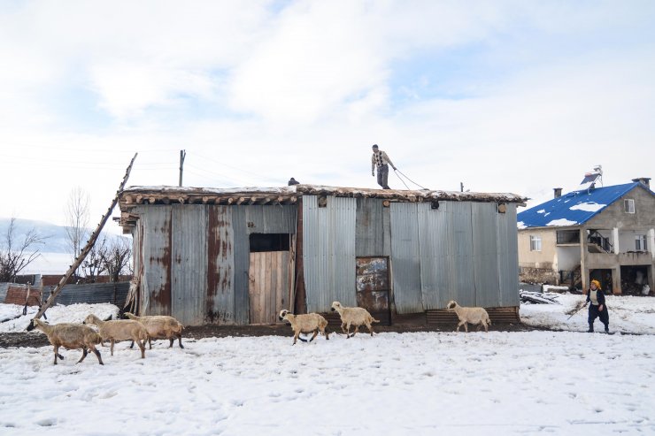 Ovacık'ta kış, zorlukları ve güzellikleriyle yaşanıyor