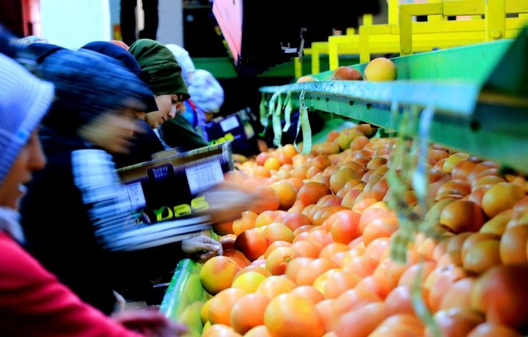 Yeni yıl kutlamaları başladı, narenciye ihracatı arttı