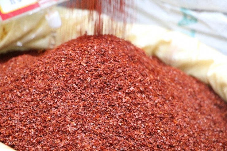 Somali’de Maraş biberi üretiliyor