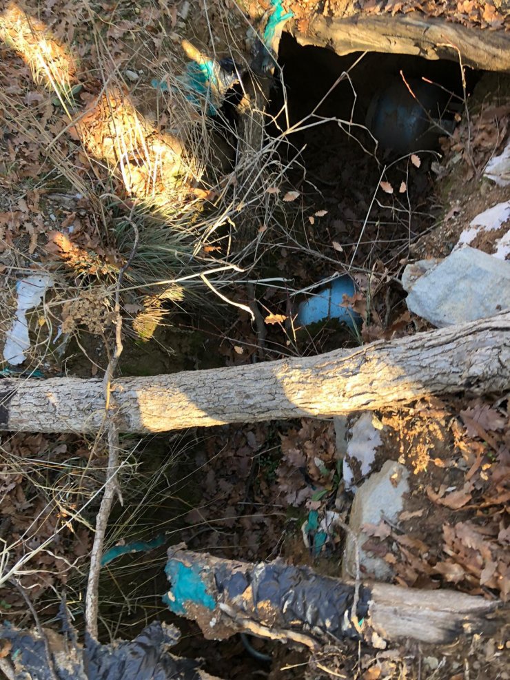 Bitlis ve Siirt'teki "Kıran-8 Sehi Ormanları Operasyonu"