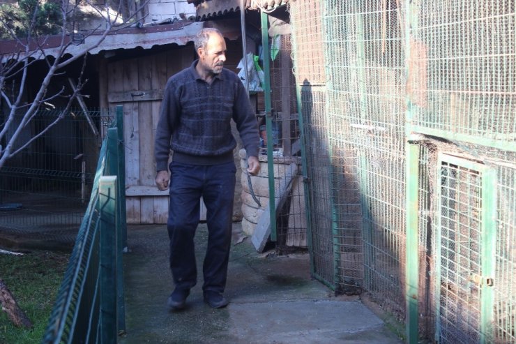20 tane güvercinini telef eden atmaca ile sohbeti dikkat çekti