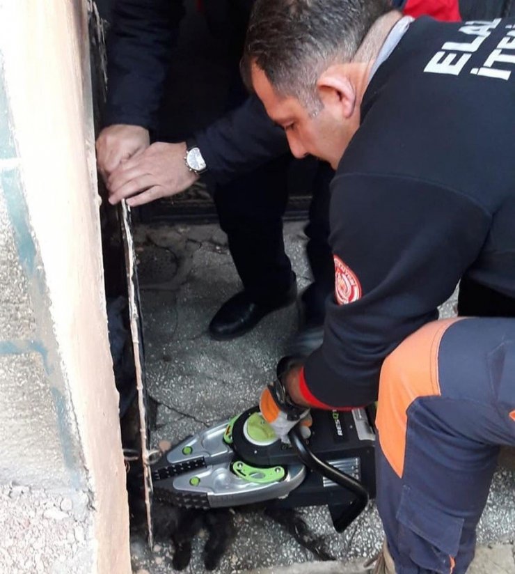 Mazgala kafası sıkışan kedi kurtarıldı