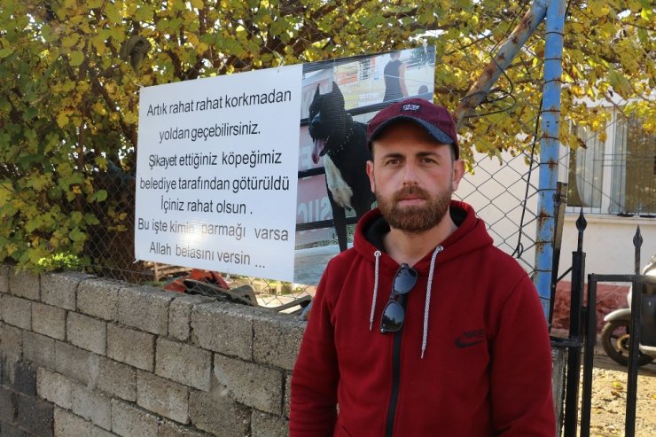 Hayvanseverden köpeğini şikayet edenlere pankartlı sitem