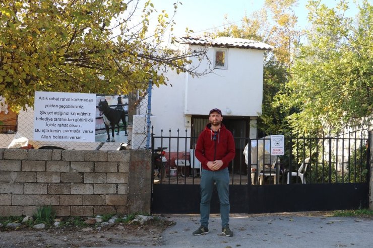Hayvanseverden köpeğini şikayet edenlere pankartlı sitem