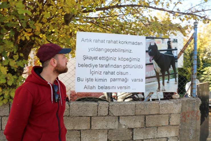 Hayvanseverden köpeğini şikayet edenlere pankartlı sitem