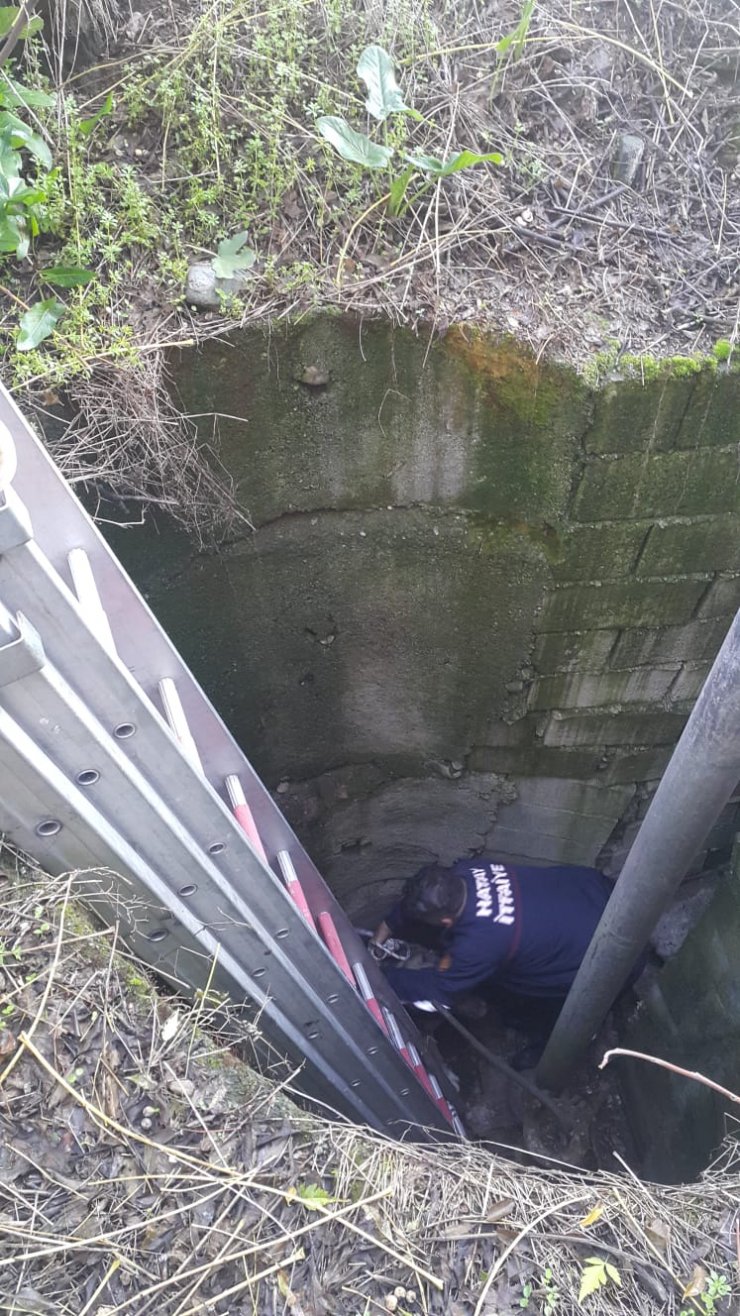 Hatay'da boş su kuyusuna düşen köpeği itfaiye kurtardı