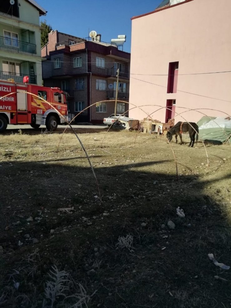 Çöken ahırın altında kalan katırı itfaiye kurtardı