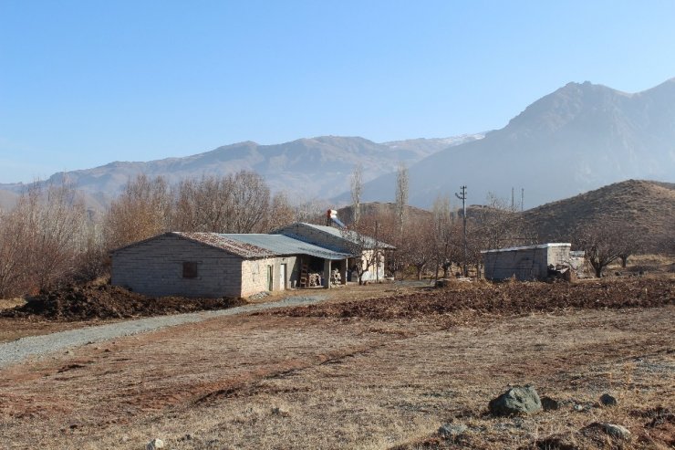 Foseptik çukurunda bulunan cesetle ilgili ağabey ve yenge tutuklandı