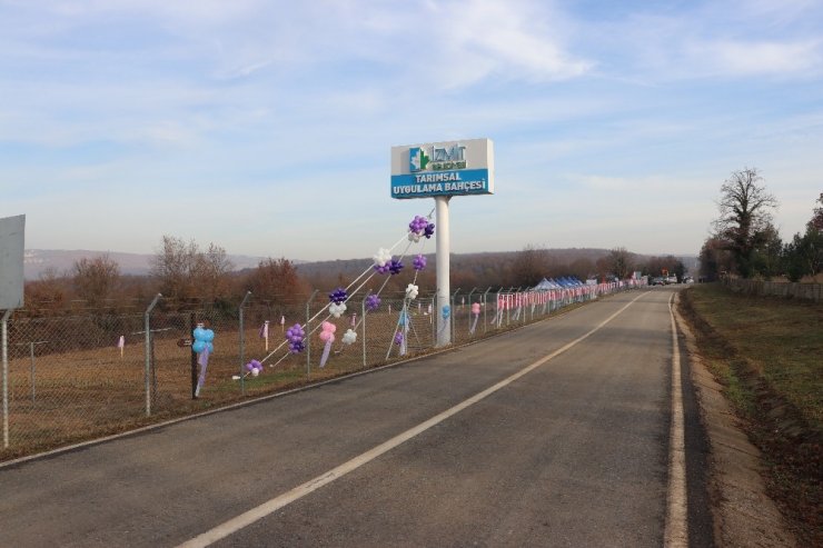 İzmitli kadınlar üretime lavanta bahçeleriyle ortak oluyor
