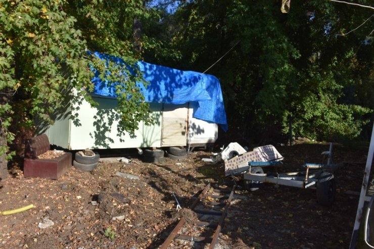 Marmaris’te sahipli köpekler zehirlendi