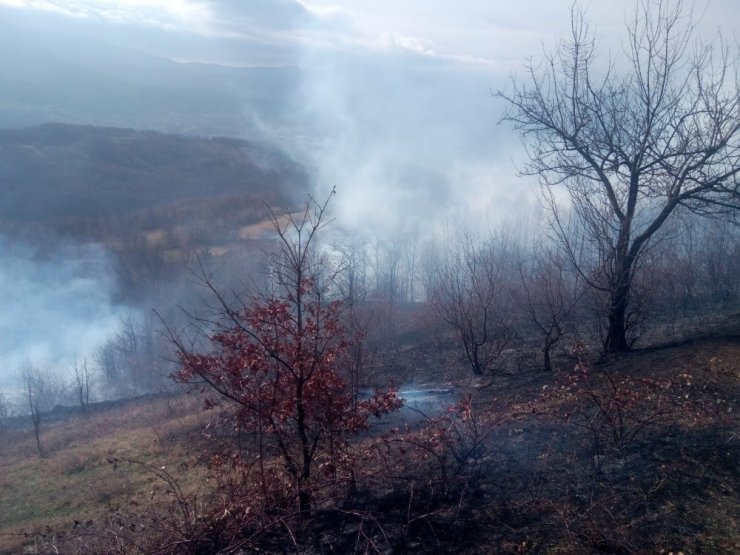 Bursa’da iki farklı bölgede anız yangını