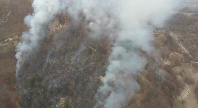 Bursa’da iki farklı bölgede anız yangını