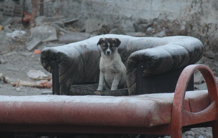 Ardahan'da çocuklar "en soğuk ilçe" de kızak keyfi yaptı