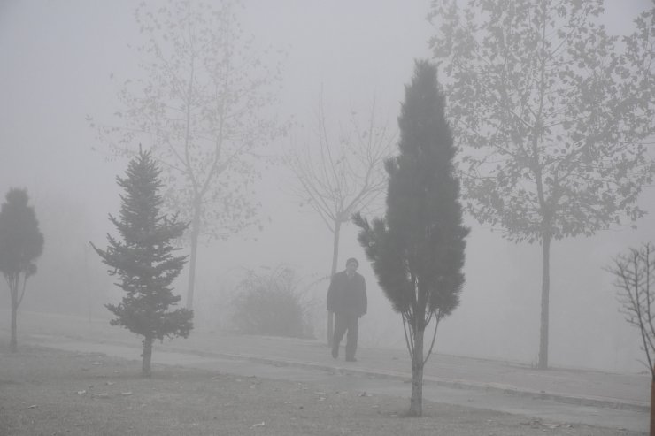 Malatya'da yoğun sis