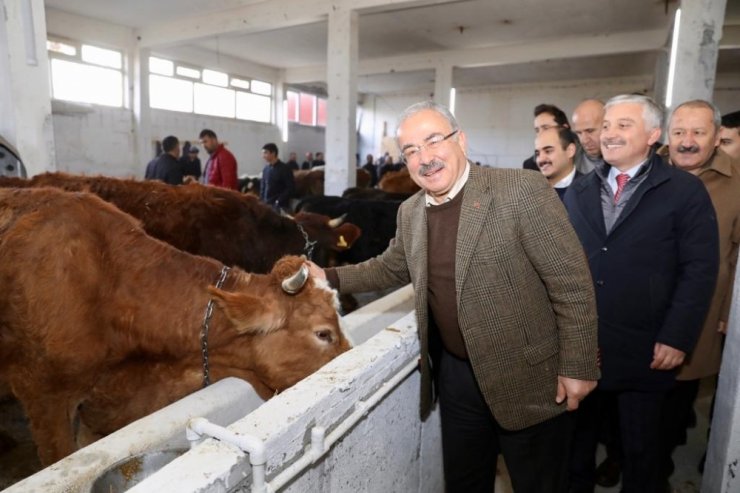 Ordu’da Hayvan Oteli