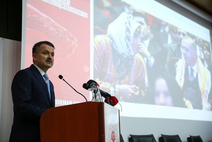 Bakan Pakdemirli’den Bayburt’a sıralı müjdeler