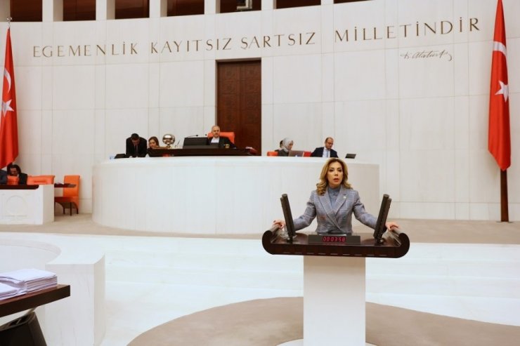 AK Partili Gökçan, “Milas’a doğalgaz verilmesi için çalışmalarımız devam ediyor”