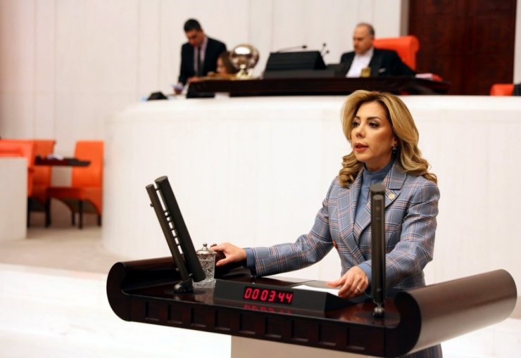 AK Partili Gökçan, “Milas’a doğalgaz verilmesi için çalışmalarımız devam ediyor”