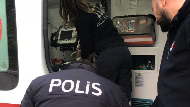 Lodosta devrilen ağacın altında kaldı