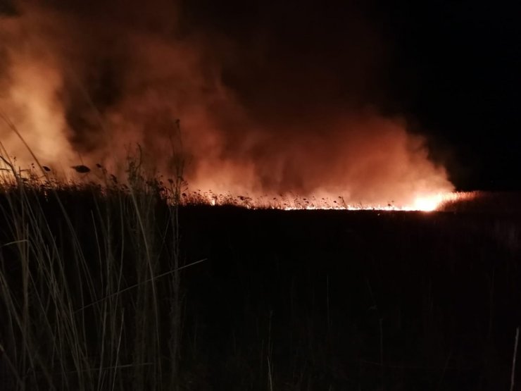 İznik Gölü kıyısında sazlık yangını