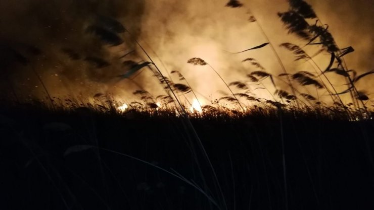 İznik Gölü kıyısında sazlık yangını