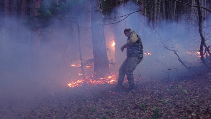 GÜNCELLEME - Uludağ'da çıkan orman yangını kontrol altına alındı