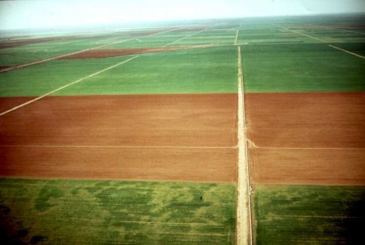Toplulaştırma araziye değer katıyor