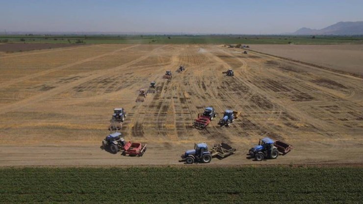 Toplulaştırma araziye değer katıyor