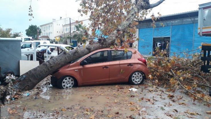 Fırtınanın devirdiği ağaç otomobili hurdaya çevirdi