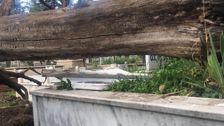 İnegöl’de ağaçlar devrildi, birçok mezar zarar gördü