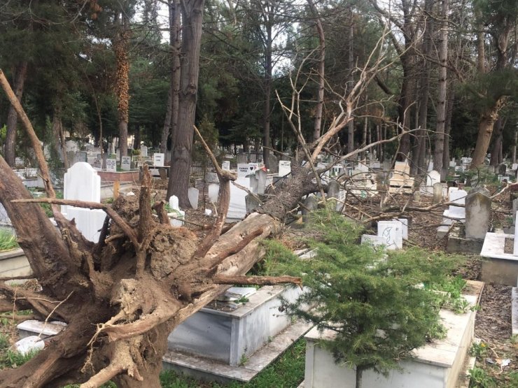 İnegöl’de ağaçlar devrildi, birçok mezar zarar gördü
