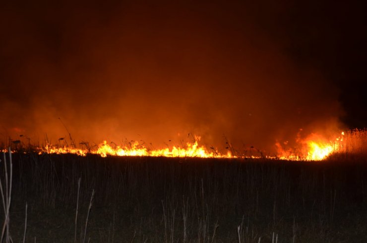 İznik Gölü kıyısındaki sazlık alanda çıkan yangın söndürüldü