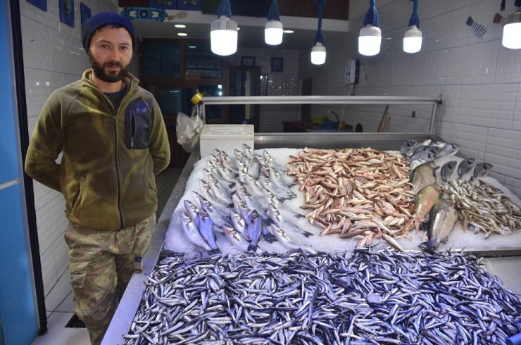 Hamsinin fiyatı tekrar yükselişte
