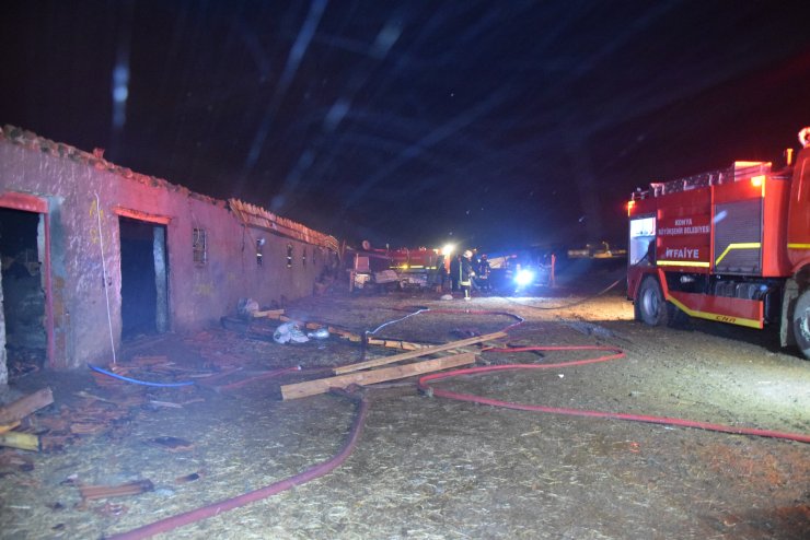Konya'da ahır yangınında 240 hayvan telef oldu