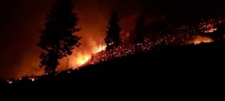 Trabzon ve Giresun’da orman yangınları