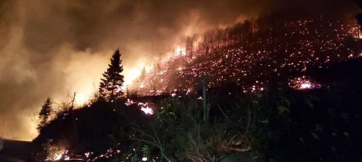 Trabzon ve Giresun’da orman yangınları