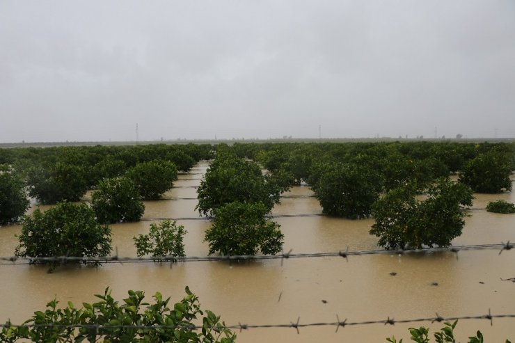 Adana’da tarım arazileri sular altında kaldı