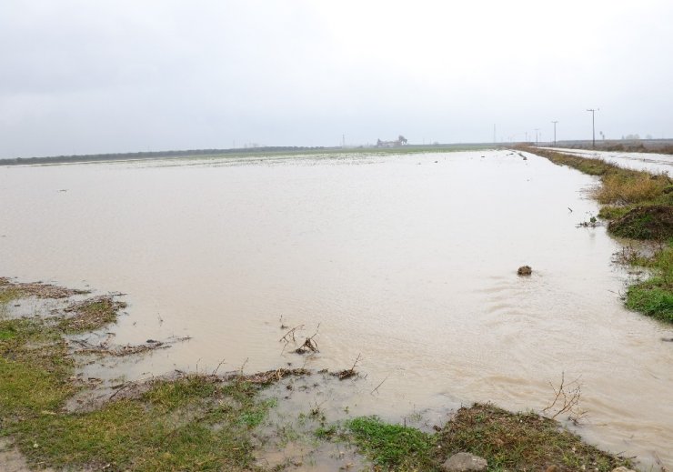 Adana’da tarım arazileri sular altında kaldı